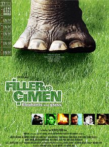 Filler ve Çimen