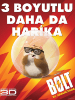 Bolt