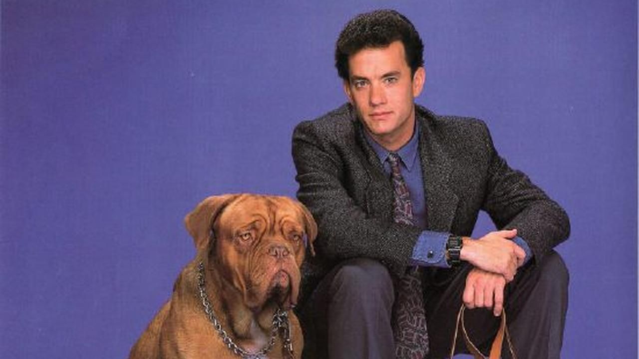 turner et hooch