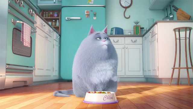 Evcil Hayvanların Gizli Yaşamı - Teaser