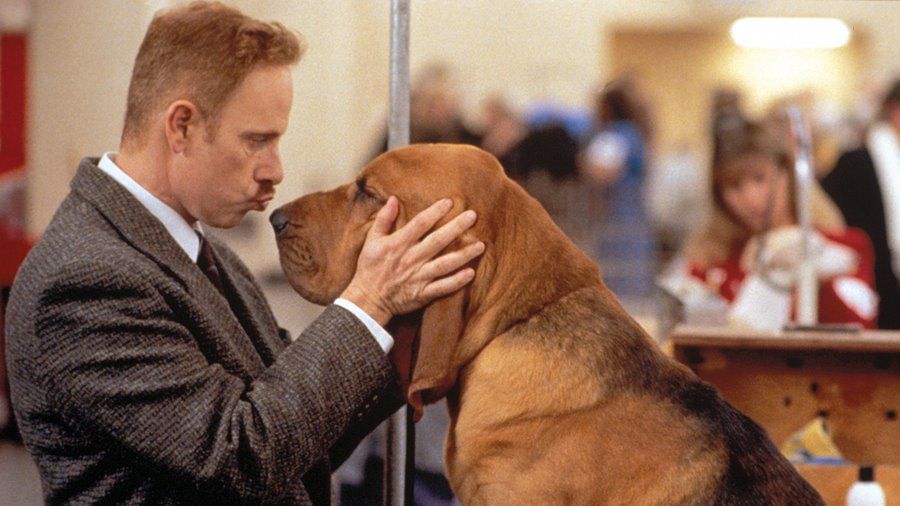 Pera Film’den Beyaz Perdeye Yansıyan Köpek Hikâyeleri! Pera Film’den