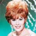 Fotoğraf Jill St John