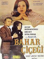 Ayşecik Bahar Çiçeği posteri