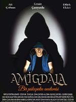 Amigdala posteri