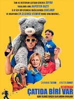 Çatıda Biri Var posteri