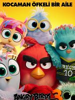 Angry Birds Filmi 3 posteri