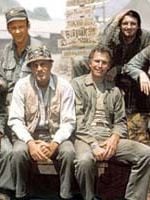 M*A*S*H görüntüsü
