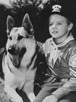The Adventures of Rin-Tin-Tin görüntüsü
