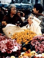 Madame le juge görüntüsü