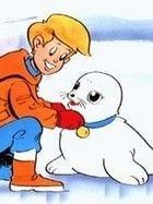 Bibifoc görüntüsü