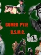 Gomer Pyle, U.S.M.C. görüntüsü
