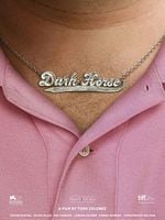 Karanlık At posteri