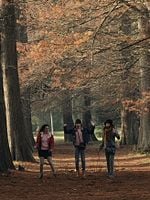 Mi Amiga Del Parque posteri