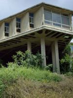 Bickels [Socialism] posteri