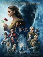 Güzel ve Çirkin posteri
