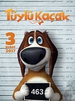 Tüylü Kaçak posteri