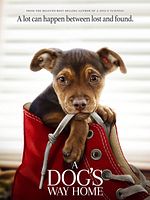 Sadık Dostum posteri