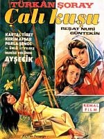 Çalıkuşu posteri