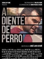 A diente de perro posteri