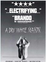 A Dry White Season posteri