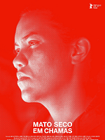 Mato seco em chamas posteri