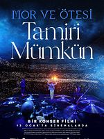 Tamiri Mümkün posteri