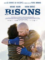 Bisons posteri