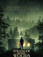 Stranger In The Woods posteri
