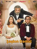 Şaşkın Damat posteri
