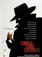 Ufak Sahtekarlıklar posteri