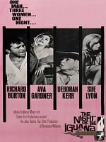 İguana Geceleri posteri