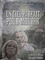 Un Ciel Parfait pour mourir posteri