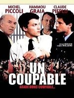 Un coupable posteri