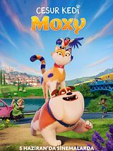 Cesur Kedi Moxy posteri