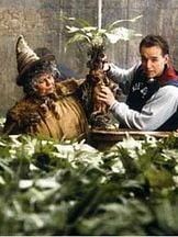 Miriam Margolyes'un fotoğrafi