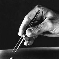 Fotoğraf Grant Williams