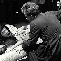 Fotoğraf Gloria Menezes