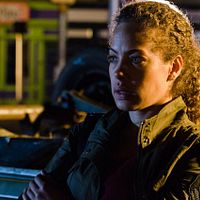 Fotoğraf Tawny Cypress