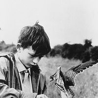 Fotoğraf David Bradley (II)