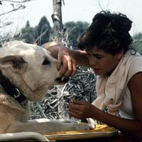 Fotoğraf Kristy McNichol