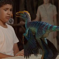 Fotoğraf Darius Williams