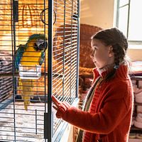 Fotoğraf Pola Friedrichs