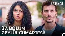 Yabani 37.Bölüm Fragman VCRH STCRH görüntüsü