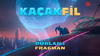 Kaçak Fil Dublajlı Fragman görüntüsü