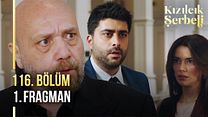 Kızılcık Şerbeti 116. Bölüm - Kızılcık Şerbeti - Sezon 4 - Bölüm 116 - Fragman VCRH STCRH görüntüsü
