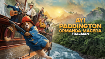 Ayı Paddington Peru'da Dublajlı Fragman görüntüsü