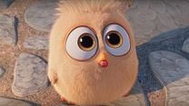Angry Birds Movie International Fragman görüntüsü