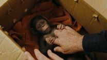 Maymunlar Cehennemi: Savaş Orijinal Video klip (3)