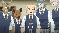 BEASTARS 2. Sezon Fragman görüntüsü