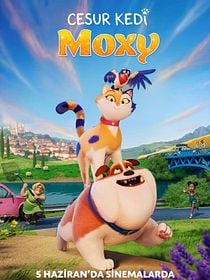 Cesur Kedi Moxy